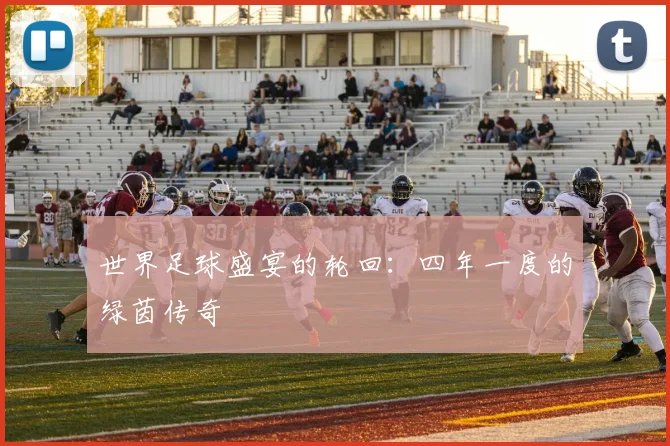 世界足球盛宴的轮回：四年一度的绿茵传奇